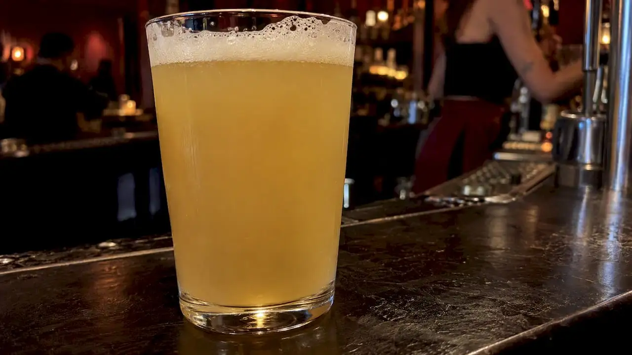 Jasny, zmętniały witbier podany w szklance na barze